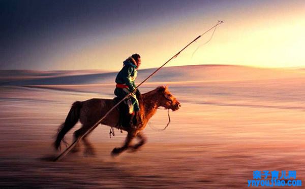 蒙古马精力是什么,蒙古马精力指的是哪十六个字