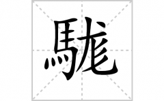 駹的笔顺笔画怎么写-解读汉字駹的笔画、拼音及成语组词