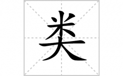 类的笔顺笔画怎么写-解读汉字类的笔画、拼音及成语组词