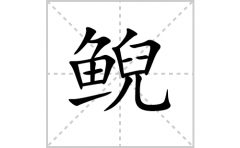 鲵的笔顺笔画怎么写-解读汉字鲵的笔画、拼音及成语组词