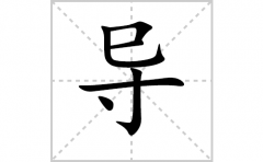 导的笔顺笔画怎么写-解读汉字导的笔画、拼音及成语组词