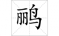 鹂的笔顺笔画怎么写-解读汉字鹂的笔画、拼音及成语组词