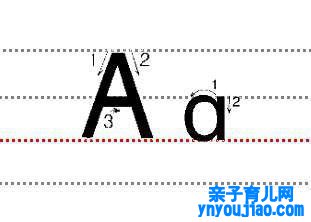 字母Aa的尺度写法