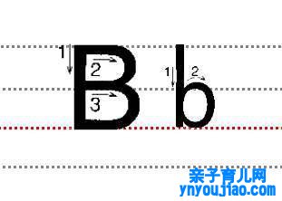 字母Bb的尺度写法