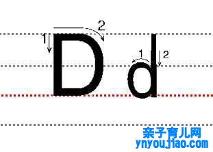 字母Dd的尺度写法