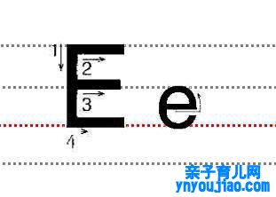 字母Ee的尺度写法