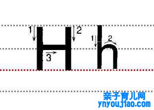字母Hh的尺度写法