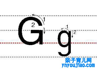 字母Gg的尺度写法