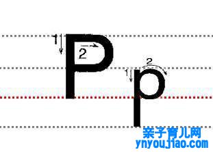 字母Pp的尺度写法