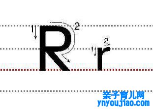 字母Rr的尺度写法
