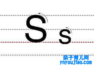 字母Ss的尺度写法