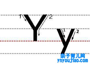 字母Yy的尺度写法