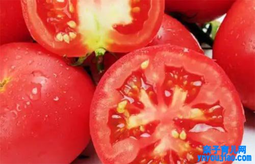 西红柿的营养代价
