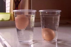 为什么鸡蛋会在盐水里浮起来？