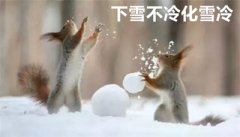 <strong>为什么下雪不冷化雪冷？</strong>