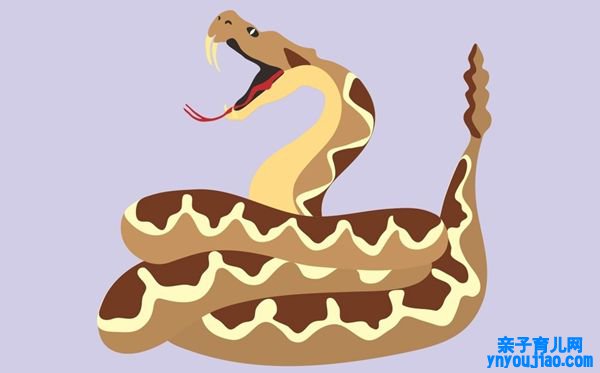 为什么响尾蛇的尾巴会响,响尾蛇尾巴会响的道理