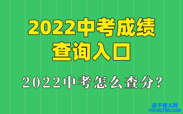 2022年贵州中考后果查询进口,贵州怎么查中考后果2022