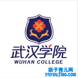 武汉学院登科分数线2022是几多分（含2021-2022积年分数线）